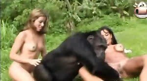 Сексом с обезьяной занимаются бразильские девушки