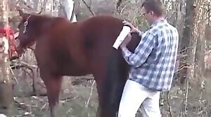 Мужик любит секс с лошадью как с женой